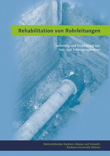 Rehabilitation von Rohrleitungen: Sanierung und Erneuerung von Ver- und Entsorgungsnetzen (Weiterbildendes Studium »Wasser und Umwelt«)